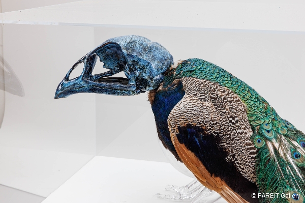 VANMECHELEN Koen - Artificial Crossbreeding